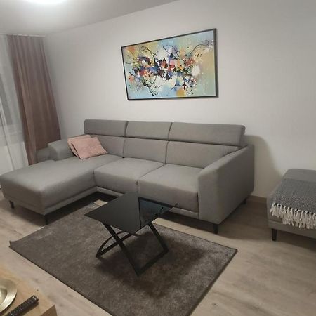 Popasu Din Oras Lägenhet Baia Mare Exteriör bild